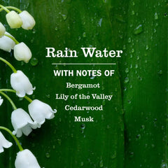 Rain Water Plug In Scented Oil Refill, 4-Pack