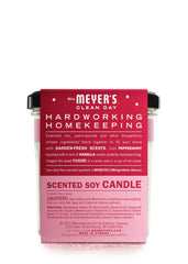 Peppermint Soy Candle Large