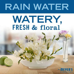 Rain Water Daily Bar Soap