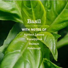 Basil Liquid Hand Soap