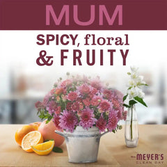 Mum Dish Soap
