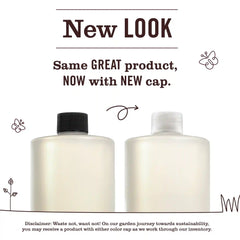 Peony Multi-Surface Concentrate