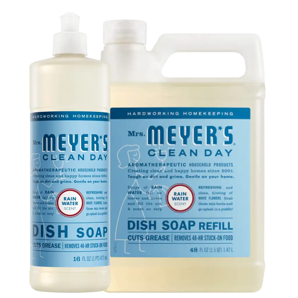 Rain Water Dish Soap & Refill Set