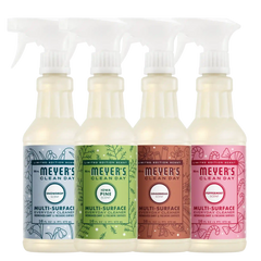 Holiday Seasonal Multi-Surface Everyday Cleaner Collection