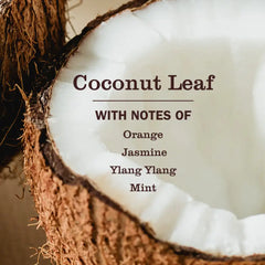 Coconut Leaf  Pet Multi-Surface Cleaner