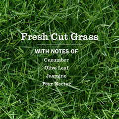 Fresh Cut Grass Plug In Scented Oil Refill, 2-Pack