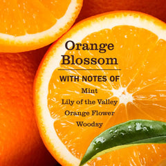 Orange Blossom Pet Stain & Odor Fighter