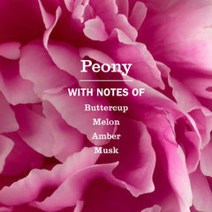 Peony Liquid Hand Soap & Refill Set