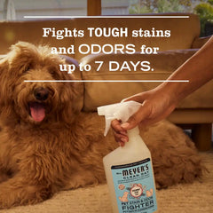 Coconut Leaf Pet Stain & Odor Fighter
