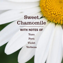 Sweet Chamomile 3-in-1 Dog Shampoo