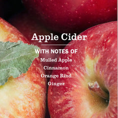 Apple Cider Dish Soap 3-count Bundle