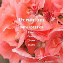 Geranium Liquid Hand Soap & Refill Set