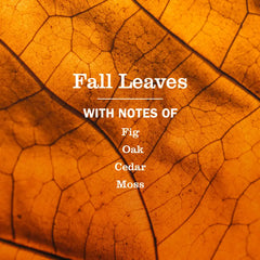 Fall Leaves Multi-Surface Everyday Cleaner 3-count Bundle
