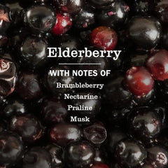 Elderberry Liquid Hand Soap