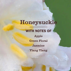 Honeysuckle Multi-Surface Concentrate