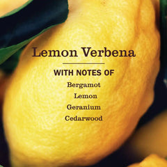 Lemon Verbena Liquid Hand Soap