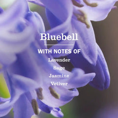 Bluebell Multi-Surface Everyday Cleaner