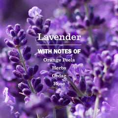 Lavender Kitchen Basics Set