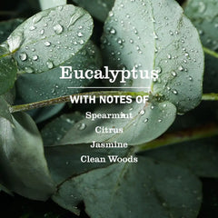 Eucalyptus Multi-Surface Everyday Cleaner