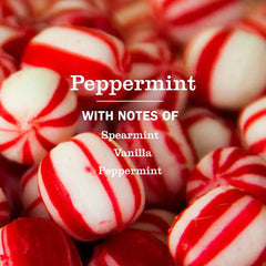 Peppermint Liquid Hand Soap 3-count Bundle
