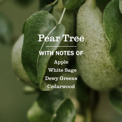 Pear Tree Multi-Surface Everyday Cleaner