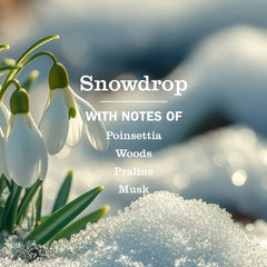 Snowdrop Essentials Plus 9-Count Bundle