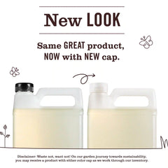 Honeysuckle Dish Soap Refill