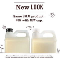 Lavender Liquid Hand Soap Refill
