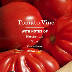 Tomato Vine Room Freshener