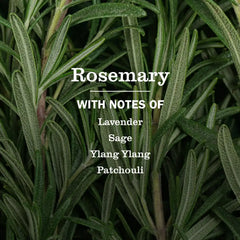 Rosemary Multi-Surface Everyday Cleaner